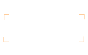 NGOs-&-Social-Impact-Organizations
